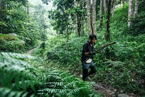 BIB: 
                            <button type="button" onclick="openModal(26359916)" class="btn btn-primary btn-sm float-right btn-popup" data-toggle="modal" data-target=".modal-high-quality">
                        <i class="fas fa-shopping-cart"></i> Add to Cart
                    </button>
                                            <button type="button" onclick="isThisMe(26359916, true)" class="btn btn-success btn-sm float-right btn-popup btn-isme hidden" data-toggle="tooltip" data-placement="bottom" title="นี่คือรูปของคุณใช่ไหม คลิกที่นี่เพื่อเอาเข้าอัลบั้ม">
                        <i class="fas fa-plus"></i> Add to album
                    </button>
                    <button type="button" onclick="isThisMe(26359916, false)" class="btn btn-warning btn-sm float-right btn-popup btn-isnotme hidden">
                        <i class="fas fa-ban"></i> Remove from album
                    </button>